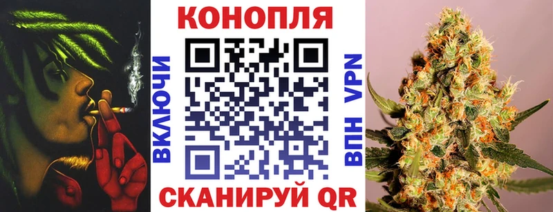 где купить наркоту  Касимов  Марихуана тримм 